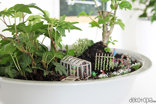 Gestalte deinen eigenen Minigarten