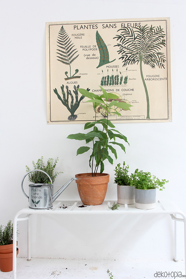 Plants are Friends: Statement Giesskanne