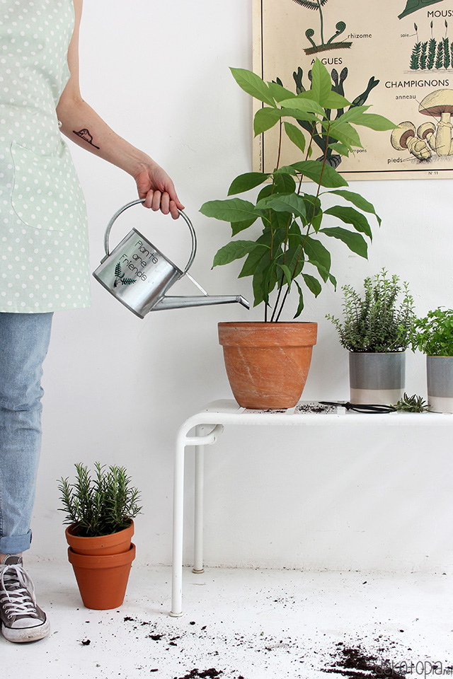 Plants are Friends: Statement Giesskanne