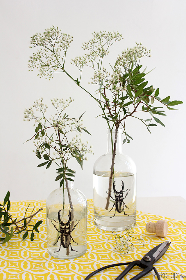 DIY Anleitung: Vasen mit Käfer Motiv