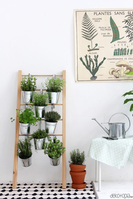 Kräuterleiter für drinnen selber bauen | dekotopia