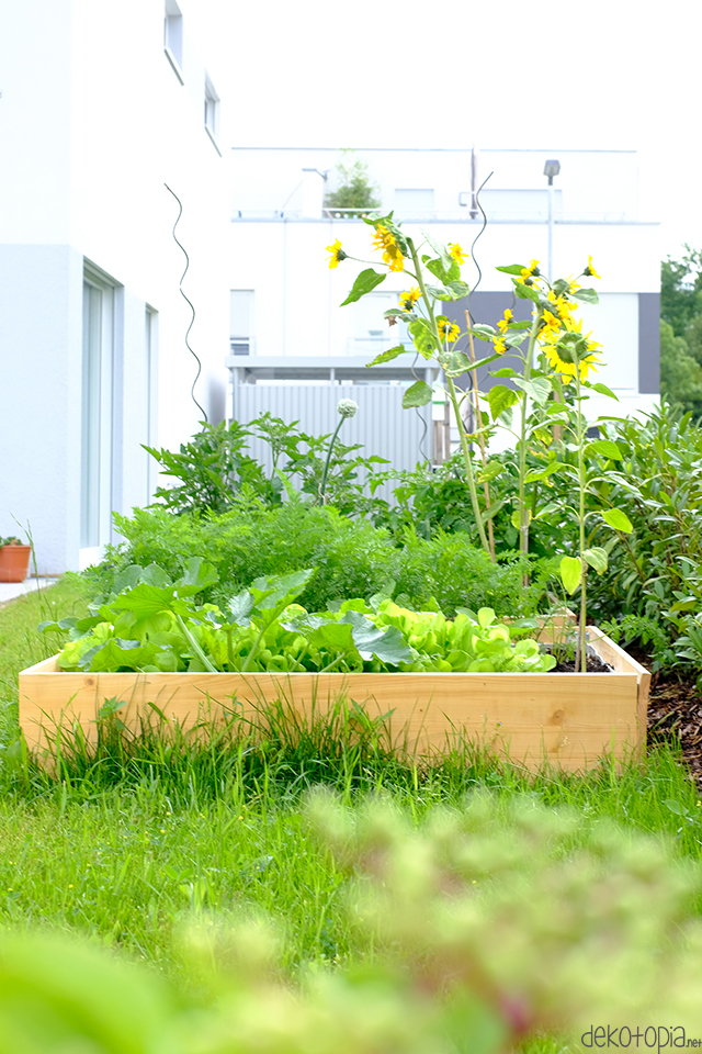 Garten DIY - einfaches Hochbeet selber bauen