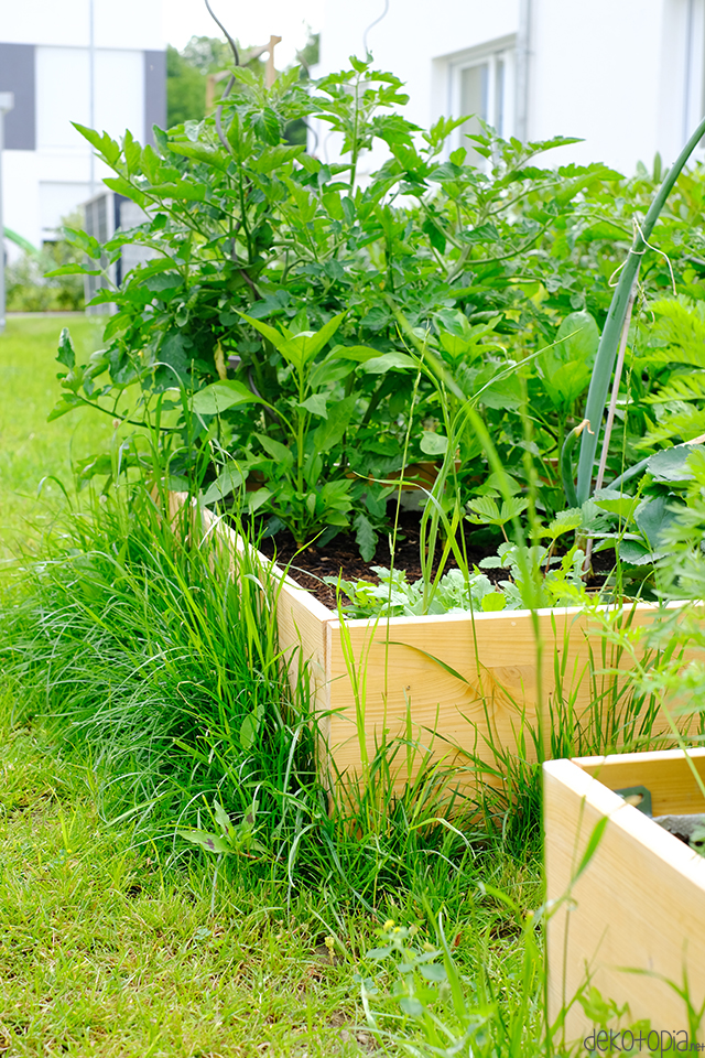 Garten DIY - einfaches Hochbeet selber bauen